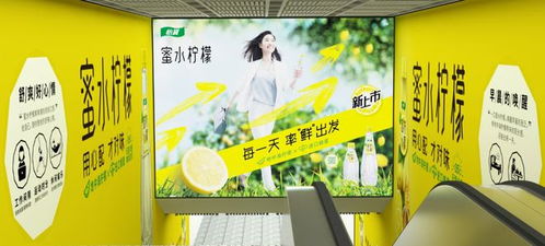 零点广告 武汉地铁品牌代理与景观设计的融合，共筑城市流动风景线